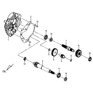 Denti - Trasmissione Sym Mio