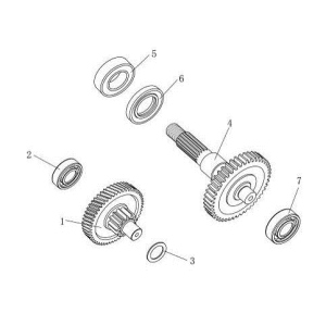 Ingranaggi - trasmissione AGM Venom nera