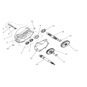Denti - Trasmissione China Ape 50 nero