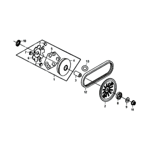 Variatore - Cinghia trapezoidale Sym Fiddle II Euro 4 (WH-006) bianca