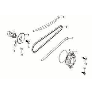 Catena di distribuzione Sym Fiddle IV 50 Euro 5