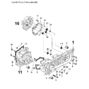 Peugeot Tweet Evo Euro 4 Carter