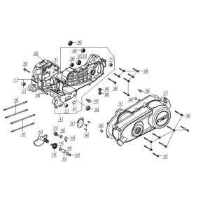 Carter - Coperchio carter - Asse Kickstarter Kymco Maxxer 90 Black