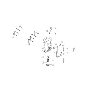 Carter destro - Asta di livello - Filtro olio Kymco Super8 50 4 tempi 2007-2009 arancione