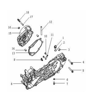 Carter Generic Ideo 50 2 tempi in rame 2010 25 km/h