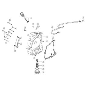 Carter - Dipstick - Filtro olio Kymco Agility City 16 200i