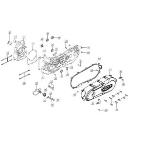 Carter - Coperchio carter - Asse Kickstarter Kymco Agility 16+ 125 Argento metallizzato opaco