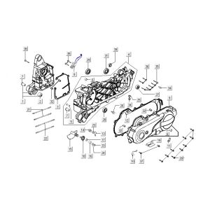 Carter - Coperchio carter - Asse Kickstarter Kymco New Dink 4 tempi oro