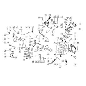 Testata cilindro Kymco People S 300i