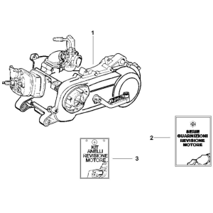 Blocco motore completo Piaggio NRG Power DD 50 2 tempi LC 2007-2017