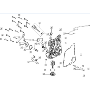 Carter - Dipstick - Filtro olio Kymco New Downtown 350i ABS