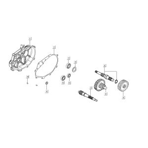 Denti - Trasmissione Kymco People S 150i Euro 4