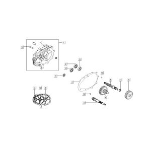 Dentizione - Cambio Kymco Super8 50 4 tempi 2007-2009 arancione
