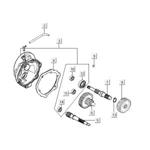 Denti - Trasmissione Kymco Agility 12" 125 blu