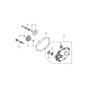 Denti - Cambio Kymco New Sento 50i a 4 tempi