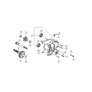 Denti - Trasmissione Kymco DJ 2 tempi Silver