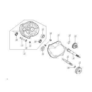Denti - Trasmissione Kymco New Dink 4 tempi bianco