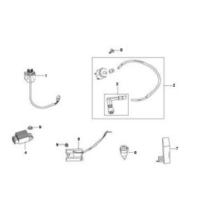 Ricambi elettrici Berini Speedy 4 tempi