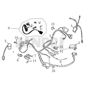 Cablaggio elettrico - Blocchetto di accensione BTC Grande Retro GT1 crema caffè