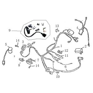 Cablaggio elettrico - Blocchetto di accensione Neco Borsalino antracite