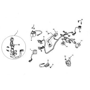 Cablaggio Znen Aurora 4 tempi