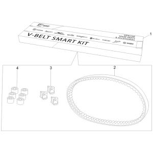 Kit cinghia trapezoidale - Rulli variatori Vespa GTS 250 ie 2005-2009 (con ABS)