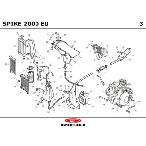 Radiatore - Raffreddamento - Serbatoio - Scarico Rieju Spike grigio 2003 2 tempi