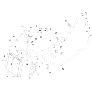 Radiatore - Tubi di raffreddamento - Serbatoio refrigerante Piaggio MP3 350 Maxi Sport ABS Euro 4 2018-2020
