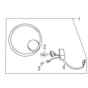 Fanale anteriore Edwards Tomorrow Riva II in titanio