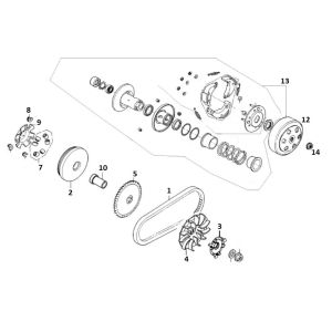 Frizione - Variatore - Cinghia trapezoidale GY6 12 pollici Euro 4 2018 → Ricambi/Prodotto/Frizione--Variatore--AGM-Retro-4-Stroke