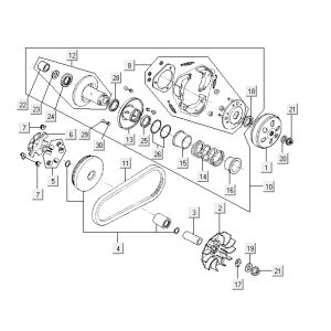 Frizione - Variatore - Cinghia trapezoidale Kymco Agility 12" 125 blu