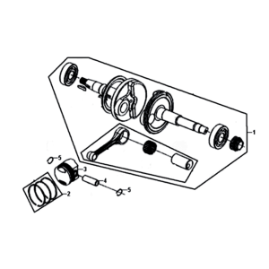 Albero motore Sym Fiddle II Euro 4 (WH-006) bianco
