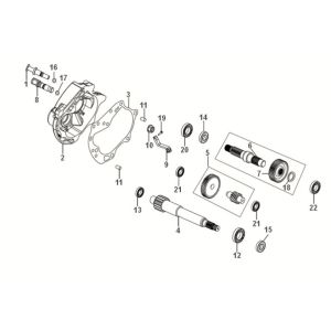 Ingranaggio - Trasmissione - Sym Fiddle IV 50 Euro 5