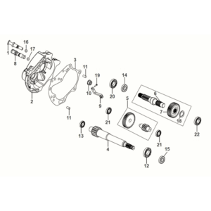 Valigetta da missione - albero di trasmissione Sym Orbit III 50 E5
