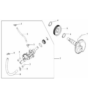 Pompa olio generica Cracker 50 2 tempi bianca 2009