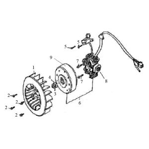 Accensione - Statore - Volano Edwards Tomorrow Grande Retro 125