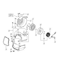 Accensione - Statore - Volano Kymco Carry 4 tempi nero