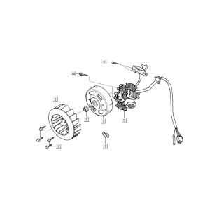 Accensione - Statore - Volano Kymco Grand Dink 2 tempi argento