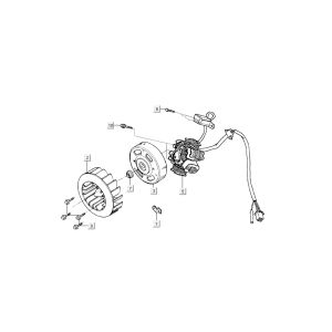 Accensione - Statore - Volano Kymco Super9 50 2 tempi AC nuovo modello argento - nero