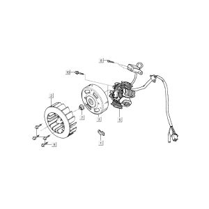 Accensione - Statore - Volano Kymco Super9 50 2 tempi LC vecchio modello nero opaco rosso