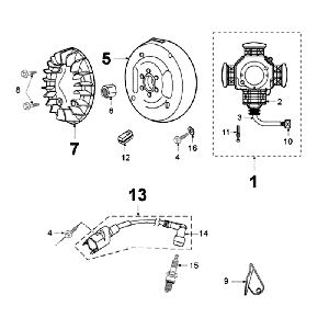 Accensione - Statore - Volano - Bobina di accensione - Candela (senza sensore di rilevamento) Peugeot Fox Deluxe Black