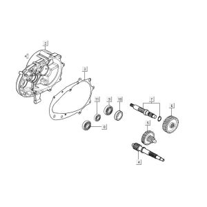 Denti - Transmission Agility 16+ 125 Argento metallizzato opaco