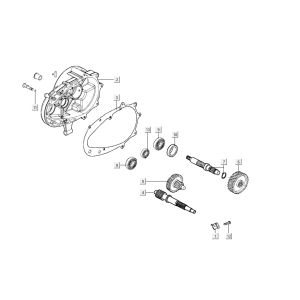 Denti - Trasmissione Agility CITY 16 125