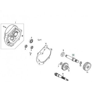 Denti - Trasmissione GY6 12 pollici Euro 2 ←2018