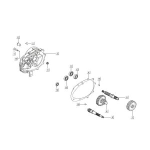 Dentizione - Trasmissione Kymco Agility 16'+ 50i 4 tempi Euro 4 grigio opaco
