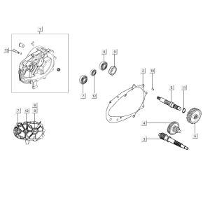 Denti - Cambio Kymco City 16' 4 tempi bianco