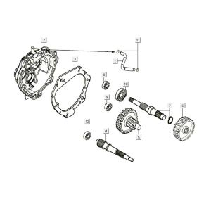 Denti - Trasmissione Kymco Like 200i White