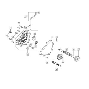 Denti - Trasmissione Kymco People S 300i