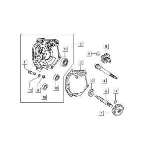 Denti - Trasmissione Kymco Yup 50 2-tempi AC argento
