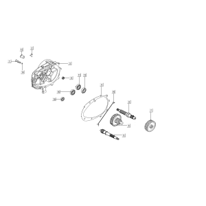 Denti - Trasmissione Kymco People S 50i Euro 4 Azzurro